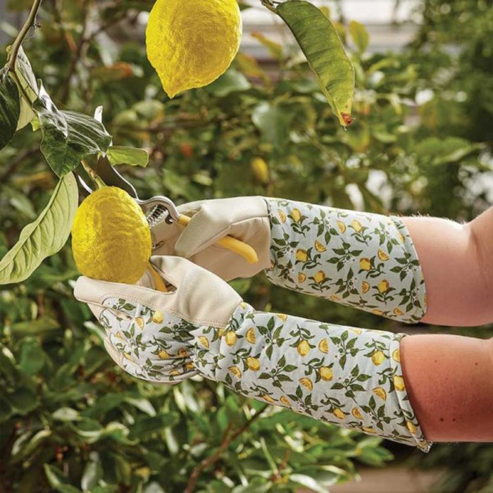 Sicilian Lemon Gauntlet Gloves Medium
