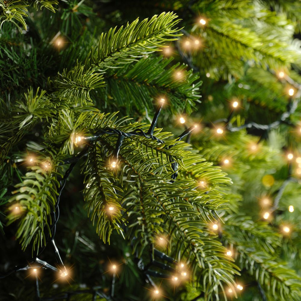 String Lights