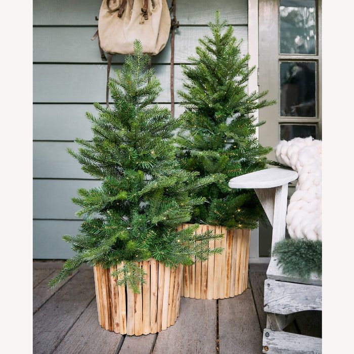 Kaemingk 90cm Grandis Pot LED Artificial Christmas Tree