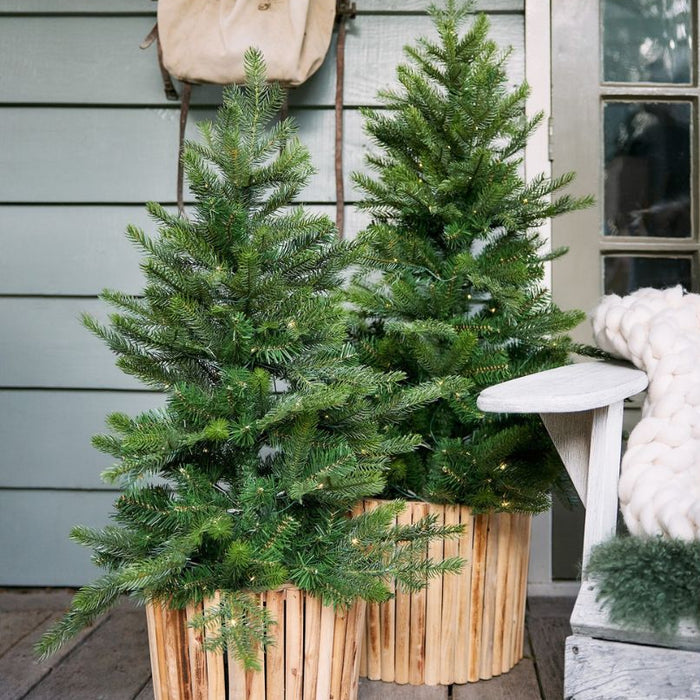 Everlands Battery Operated 90cm Grandis Prelit Artificial Christmas Tree In Pot