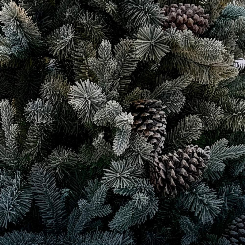 BOSK Frosted Winterfold Fir Artificial Christmas Tree
