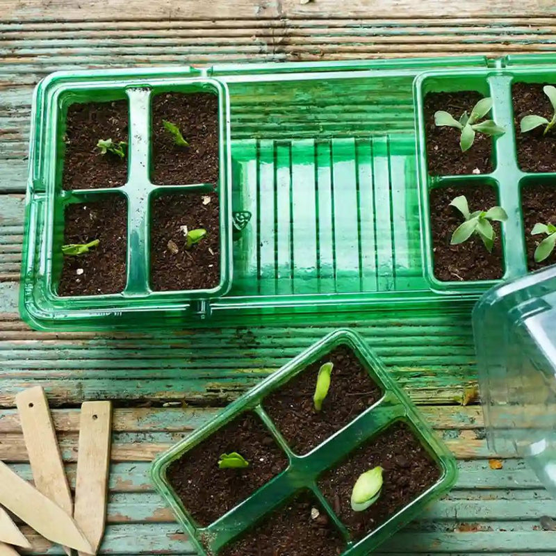 Gro-Sure Visiroot Windowsill Propagator