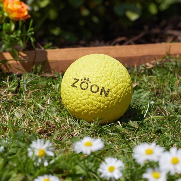 Zoon Indestruct-a-Ball (7cm)