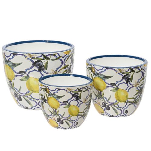 Lemon Print Planter (Assorted) — Newbank Garden Centre