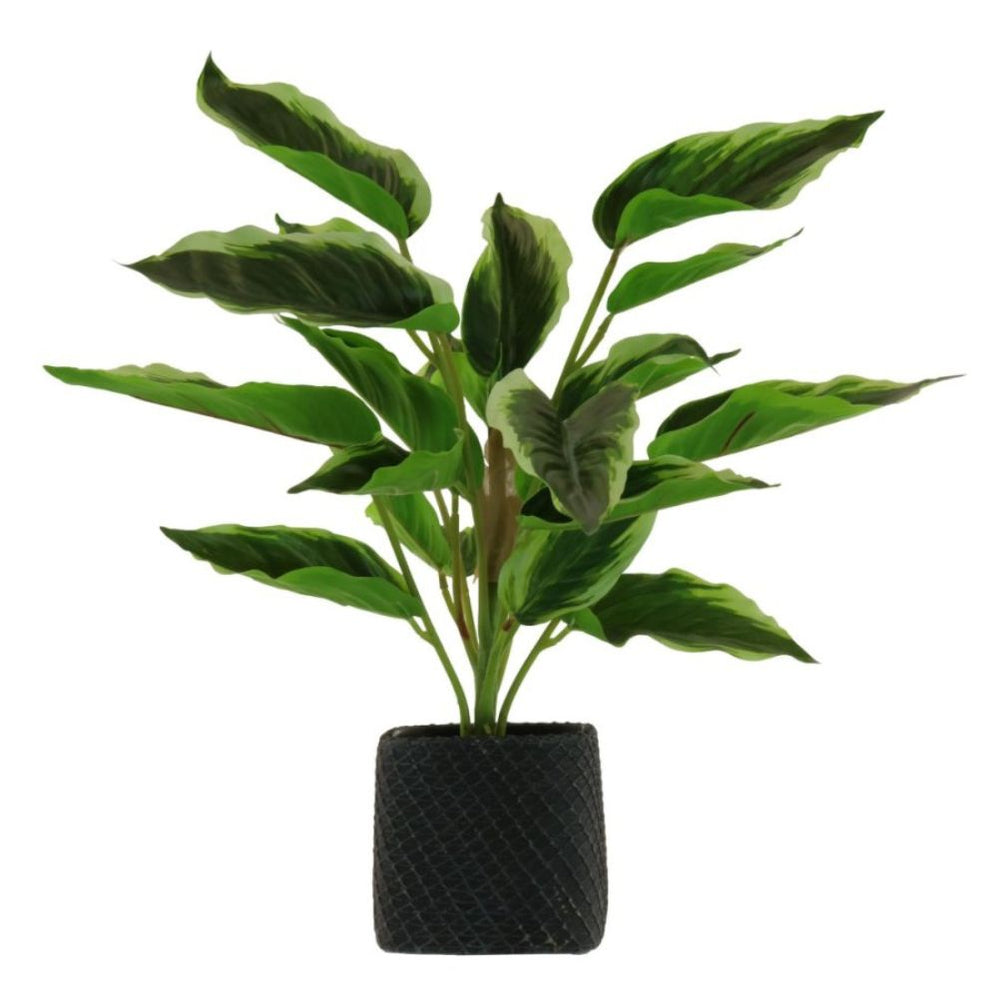 Artificial Plants — Newbank Garden Centre