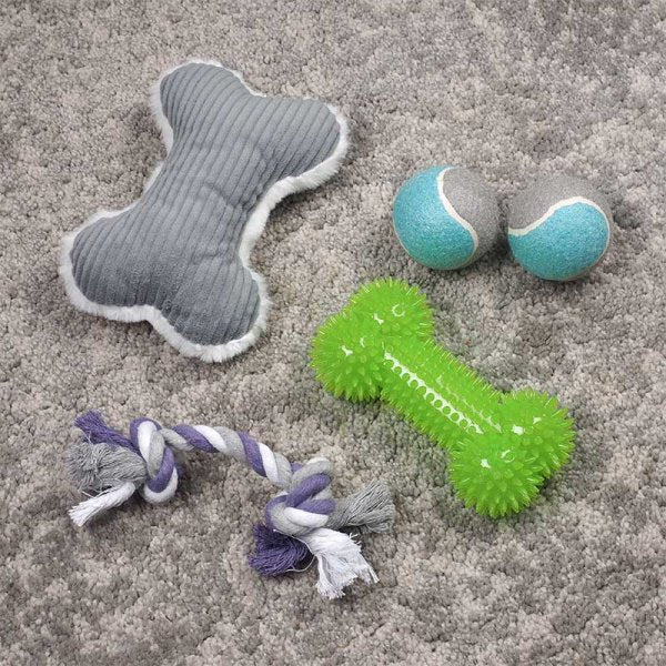 Zoon My Dog's Play Pack