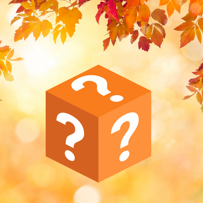 Newbank Autumn Mystery Box