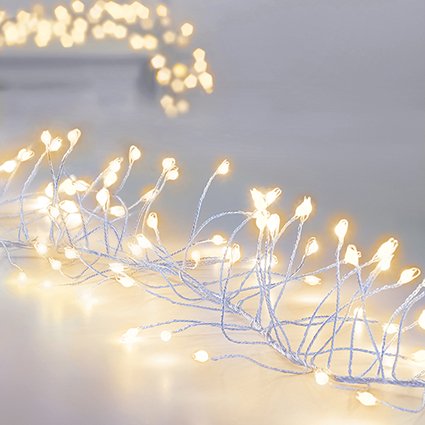 Premier Plug In Rose Silver Wire Garland l(Mains Powered) - Warm White 430 LED String Lights