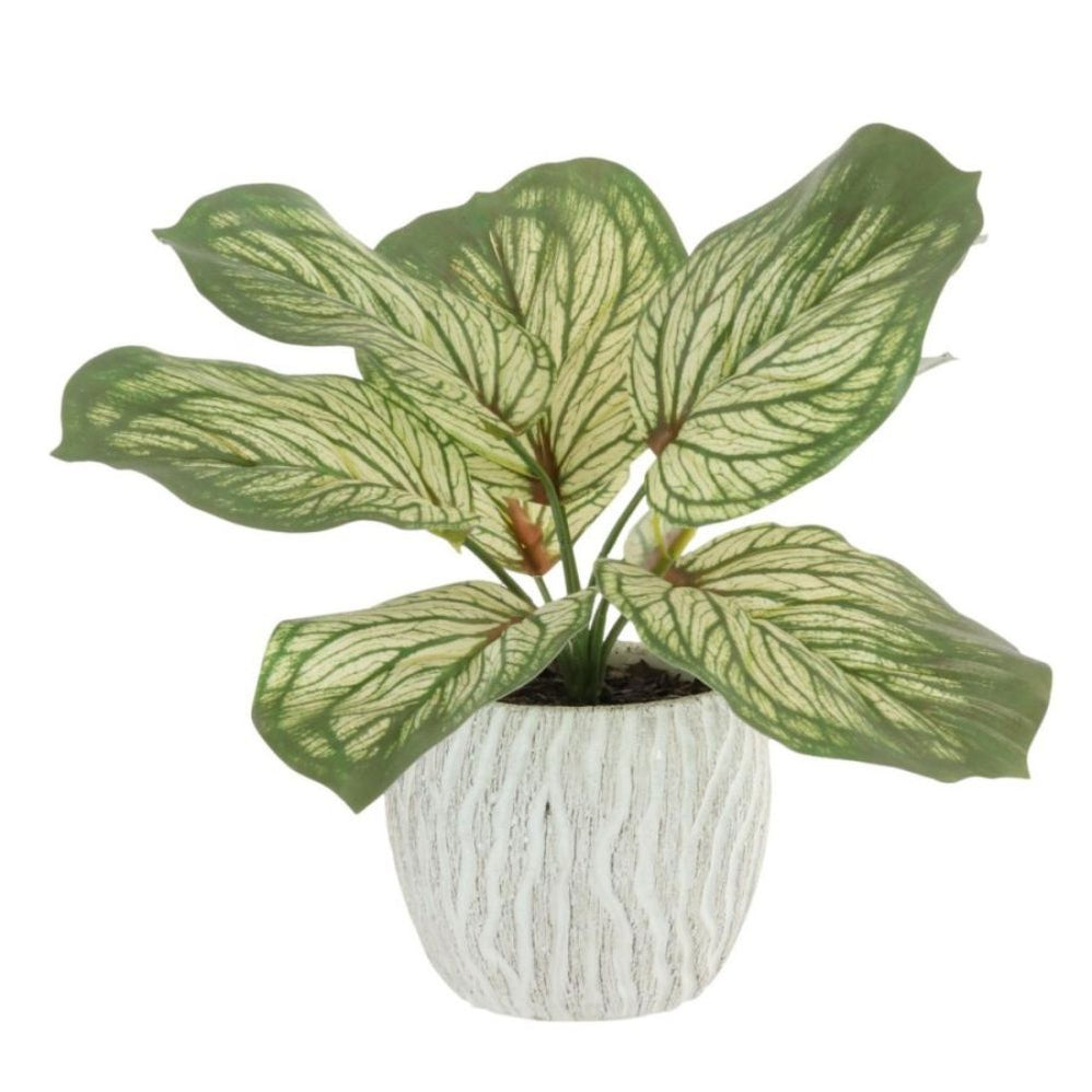 Artificial Plants — Newbank Garden Centre