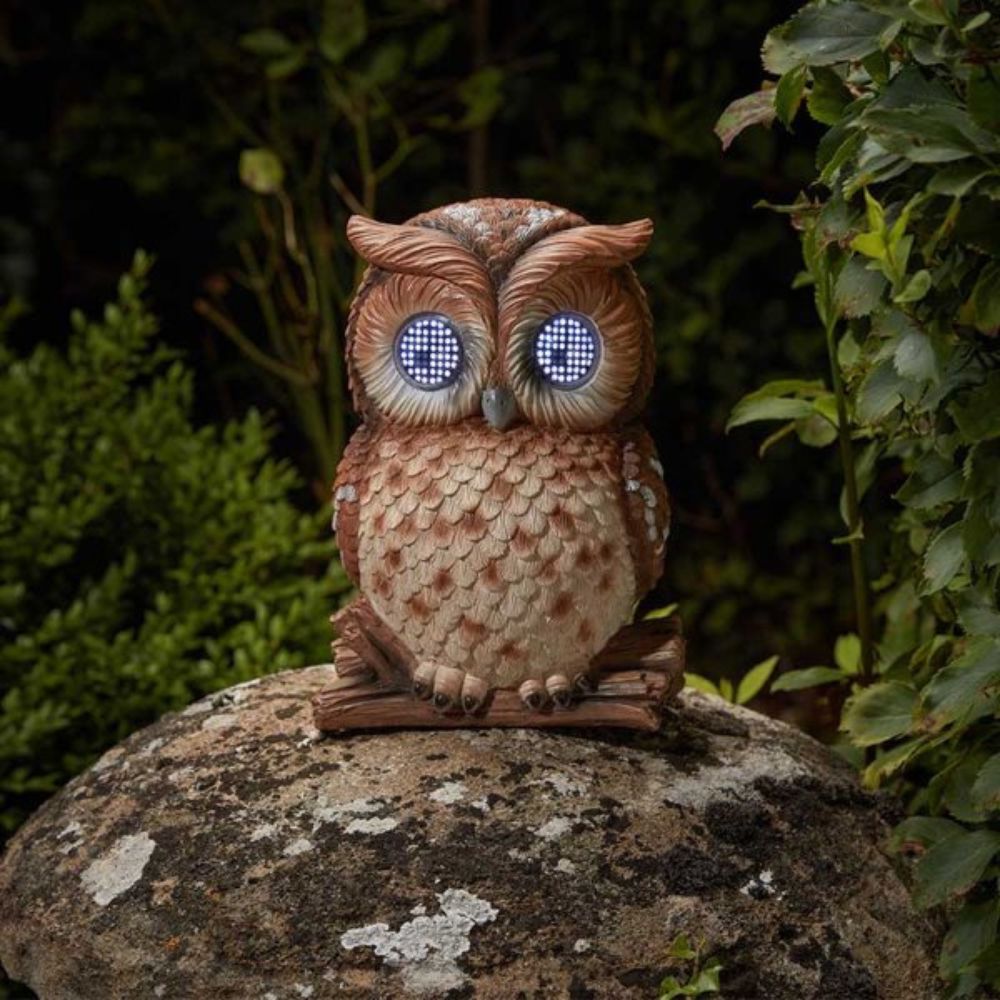 Smart Garden Blinkin Owl — Newbank Garden Centre