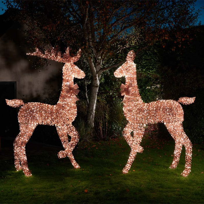 Titan Rose Gold LED Lit Stag