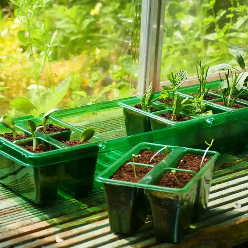 Gro-Sure Visiroot Windowsill Propagator