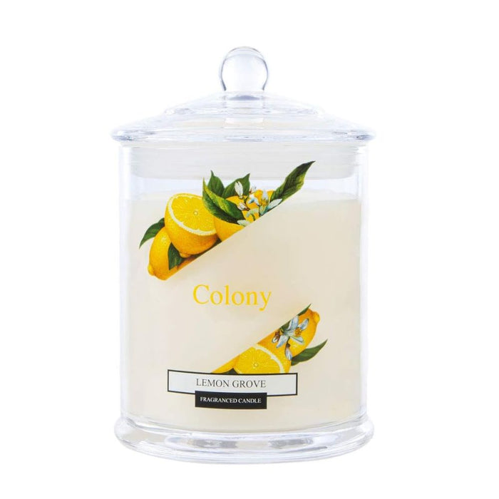Wax Lyrical Lemon Grove Jar Candle