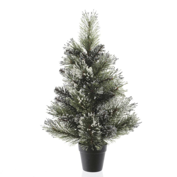 Kaemingk 60cm Frosted Finlay Mini Artificial Christmas Tree