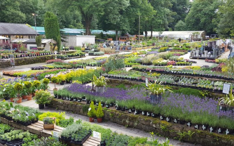 Dobcross Branch — Newbank Garden Centre
