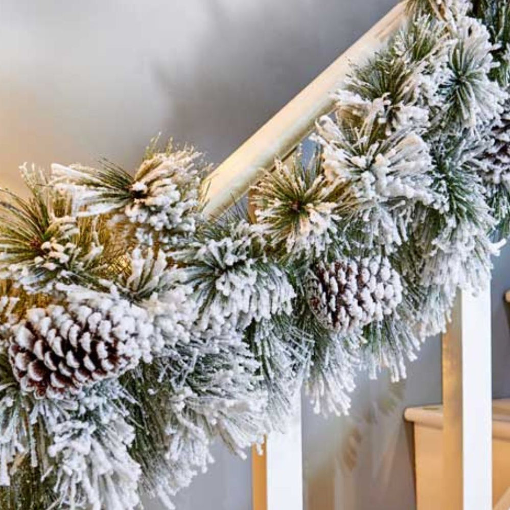 Christmas — Newbank Garden Centre